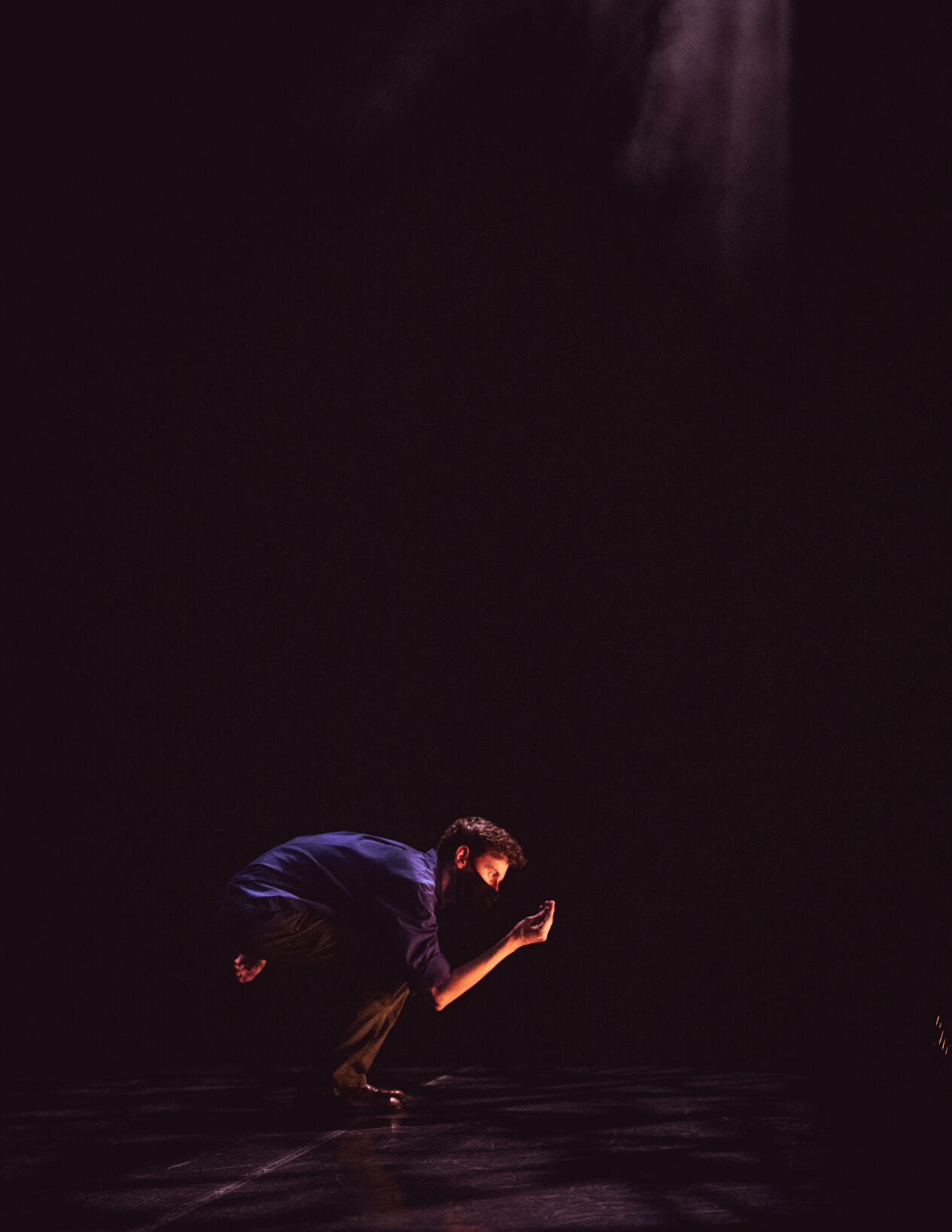 Dance Up Close 12